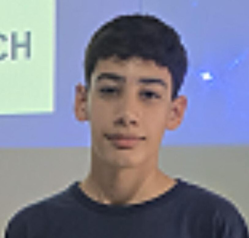 Luiz Felipe Pereira Da Silva 
